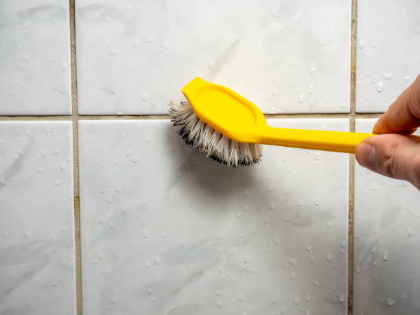 Mold Removal and Inspection in Stapleton, AL