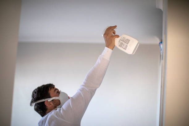 Professional Mold Removal in Stapleton, AL