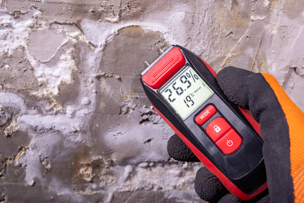 Best Emergency Mold Removal  in Stapleton, AL